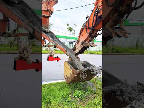 Xe trộn bê tông, máy xúc đổ bê tông đài móng hàng rào. #excavator