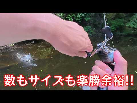 【やらなきゃ損！】スピニング苦手の俺が夏バス攻略のために練習してる〇〇〇がマジ釣れる！【豊英ダム】