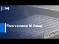 Fluorescence Assay Methodology