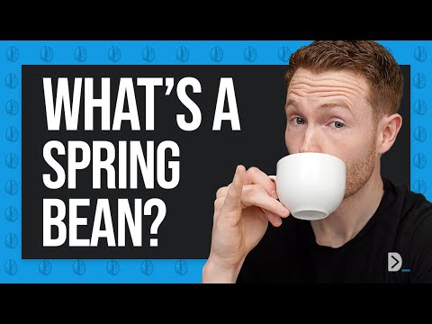 Learning Spring? Learn this FIRST: Spring Beans Explained