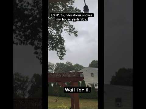 LOUD thunderstorm from yesterday in my area. #weather #thunderstorm #nj #lightning