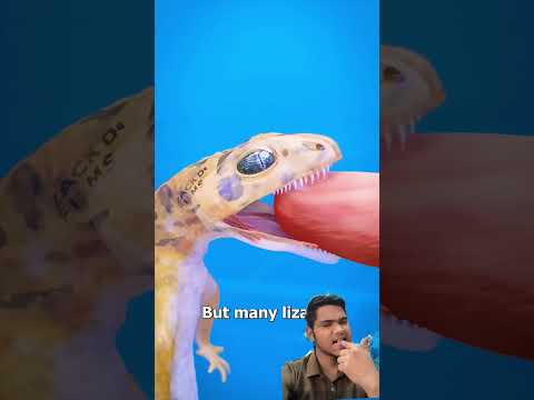 #facts #science #animals #amazingfacts #shortsvideo #trendingshorts