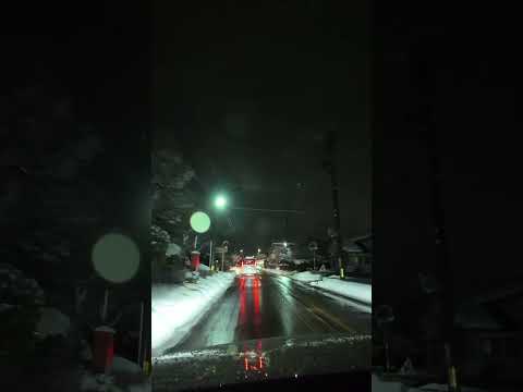 新潟3区候補者の選挙カーについて行ってみた！