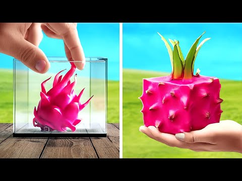 Cara Menanam Buah Dan Sayuran ๐ฅ๐๐ Hacks Pemeringkatan Cerdas