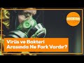 Virüsler ve Bakteriler Hakkında Bilgi Testi