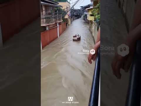 ไซลอยไปกับน้ำแล้ว..!😳 #ai #funny #dog #siberianhusky #ai