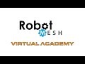 Robot Mesh Virtual Academy Overview