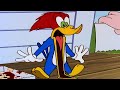 Reflexiones y Discusiones en un Video