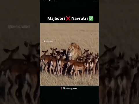 #yee kyaa huaa😂😂#funny video #youtubeshorts #