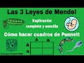 Cuestionario sobre las Leyes de Mendel