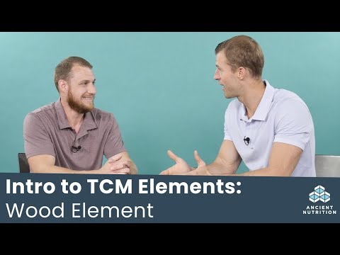 Wood Element - Intro to the Traditional Chinese Elements | Dr. Josh Axe