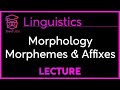 Morphemes and Lexical Categories