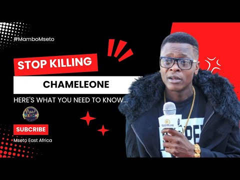 STOP KILLING CHAMELEONE LIKE YOU DID TO PROFESSOR JAY | HERE'S WHAT YOU NEED TO KNOW