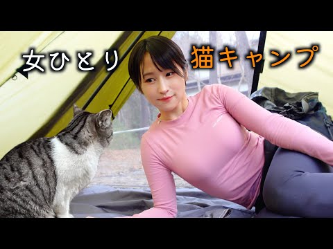 【女ひとり】猫だらけのキャンプ場が仕事の疲れを癒してくれた…