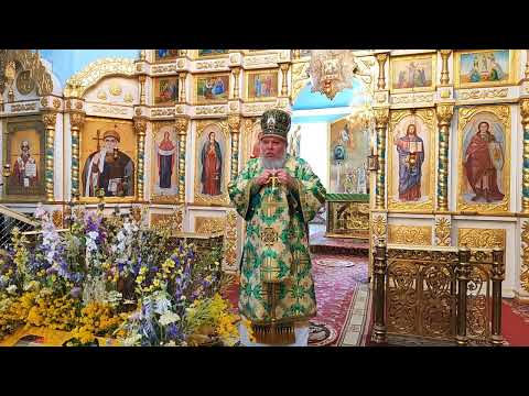 Проповедь митрополита Николая в День Святого Духа