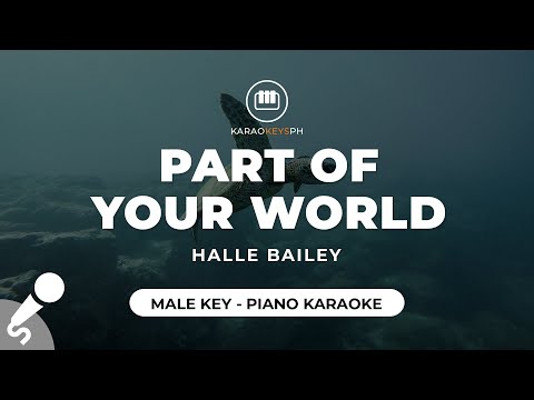 Part Of Your World – Halle Bailey (Male Key – Piano Karaoke)