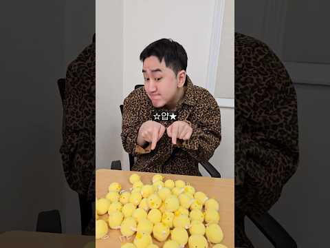 병아리 어디갔어 어???🐥