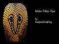 Exploring the Adventures of Rikki Tikki Tavi