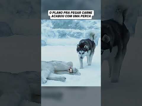 eles só queriam comer e isso aconteceu #ftv #filmes #cenasnarradas