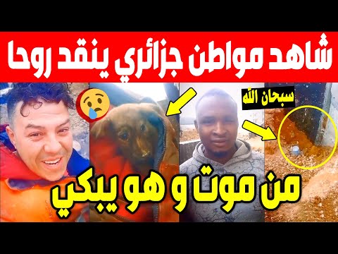 الجزائر😱😱 شاهد مافعله عامل جزائري لهذا كلبا مدفونا تحت الرمال لعدت أيام بعدما نبه سنغالي. سبحان الله