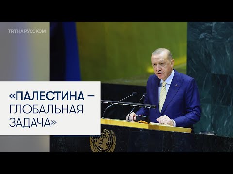 Президент Эрдоган: палестинский вопрос стал общемировым делом