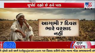 આગામી 7 દિવસ ભારે વરસાદ નહીં | No Rain Forecast for Next 7Days, Farmers Worried Over Dry Spell | TV9