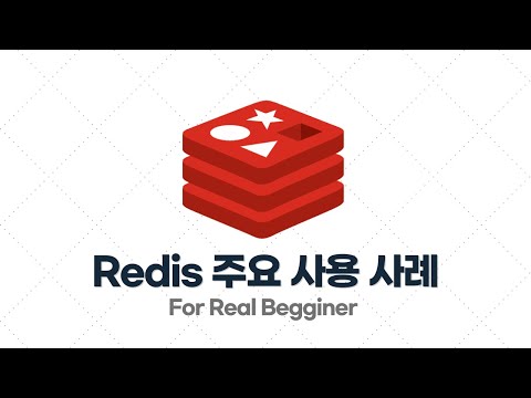 Redis 입문·실전 - 1.2. Redis 주요 사용 사례