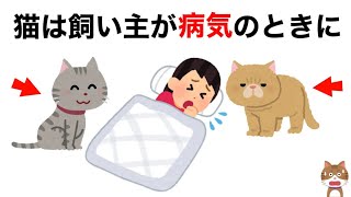 猫の不思議な行動に関する雑学　#猫 #ねこ #雑学