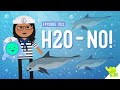 Freshwater and Its Importance