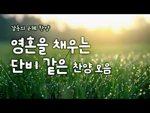 영혼을 채우는 단비 같은 찬양 모음