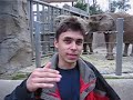 Understanding Elephants in Video