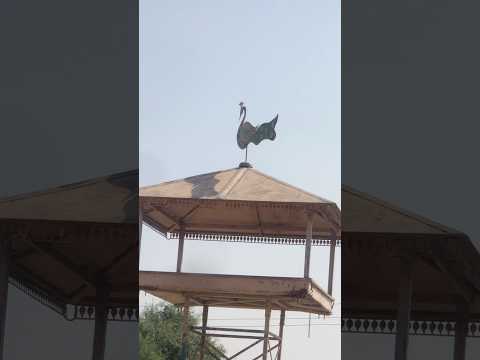 #minivlog #desivlog વીરબાપજી મંદિર માલોત્રા દેશીવ્લોગ@malotra_desi_vlog 🤞🙏🏻🤞જયરગતિયાવીરબાપજી