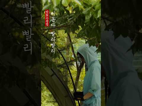 비온다 빨리빨리  #캠핑브이로그 #camping
