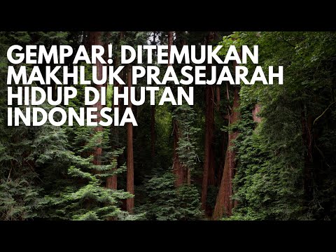 GEMPAR! DITEMUKAN MAKHLUK PRASEJARAH HIDUP DI HUTAN INDONESIA