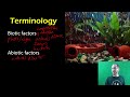Ecological Concepts and Interactions