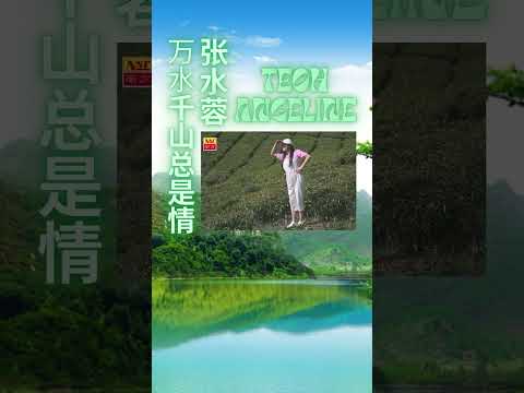 張水蓉ANGELINE TEOH I 萬水千山總是情 I 粵語 I 官方MV全球大首播 (Official Video)