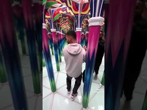 Lạc vào thế giới trong gương