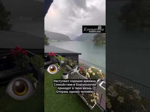 #music #таро #раскладбеларусь #бизнес #талант #таролог #музыкальность #успех #мастертаро