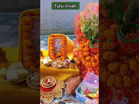 तुलसी रानी का विवाह है सब बधाई गाओ री 🙏#tulsivivah #shortfeed #viral #trendingshorts #shorts #yt
