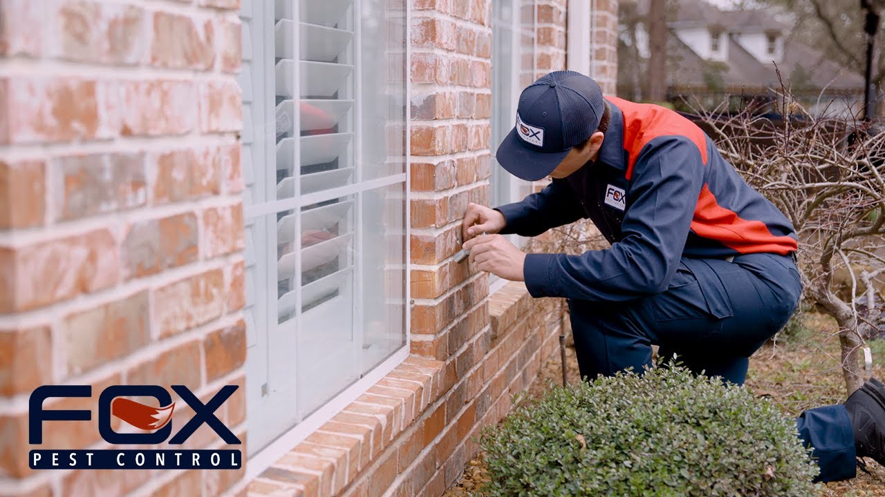 Why you should choose Fox Pest Control in Baton Rouge