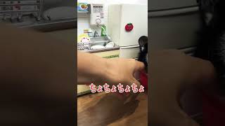 動画サムネイル