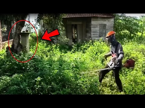 The Mysterious Tree: We Were SCARED When We Discovered Something Horrific In The House | Clean Up