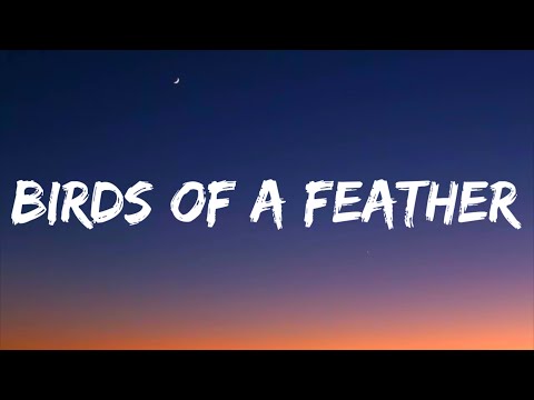 Billie Eilish - BIRDS OF A FEATHER (Lyrics)