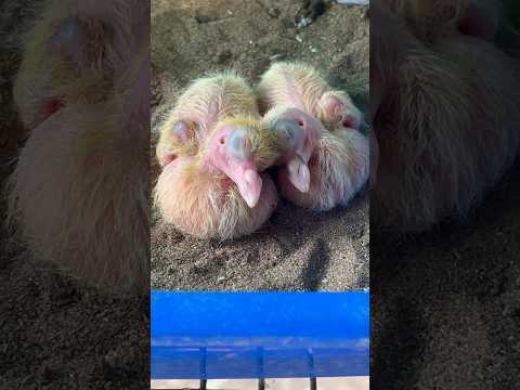 เดเดตเตผเดเตเดเต เดฎเตบเดเดเตเดเดฟเดฏเดฒเตเดฒ เดฎเดฃเตฝ เดเดฃเต เดตเตเดฃเตเดเดฟเดฏเดฟเดฐเตเดจเตเดจเดคเต โค๏ธ