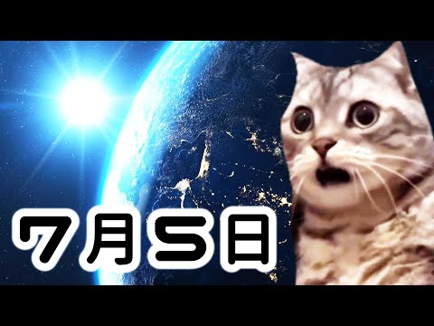 今から緊急で7月5日の大災難について、うちの猫が予言します