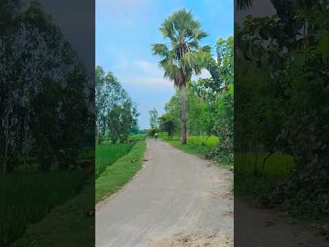 #bollywood #hindisong