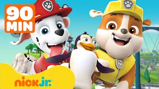 Paw Patrol | ¡90 MINUTOS de los Mejores Rescates Animales de PAW Patrol! 🦫🐠🐔 | Nick Jr. en Español