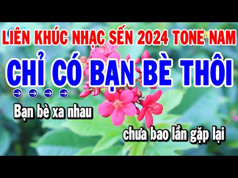 Karaoke Liên Khúc Bolero Dễ Hát Tone Nam | Chỉ Có Bạn Bè Thôi | Chiều Sân Ga