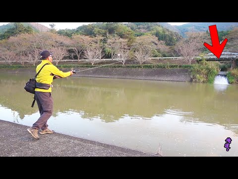 【ドロ水】唯一の綺麗な流れ込みが気になる。