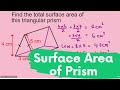 Calculating Areas of Prisms
